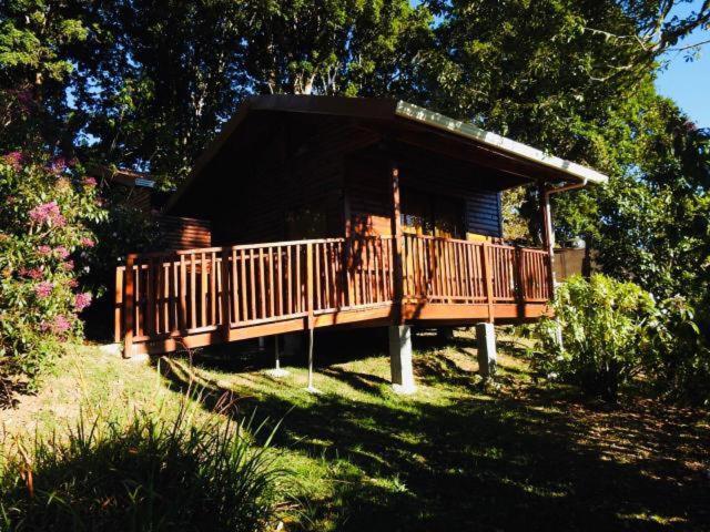 Cabanas San Gerardo Сан-Херардо-де-Дота Екстер'єр фото
